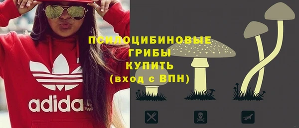 мдпв Лихославль