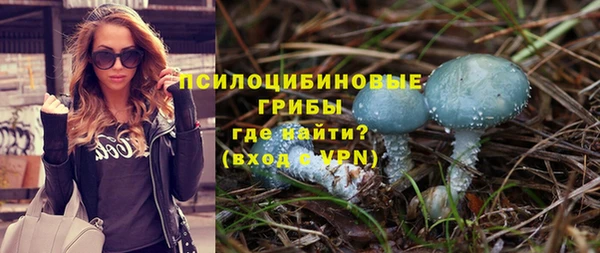 мдпв Лихославль