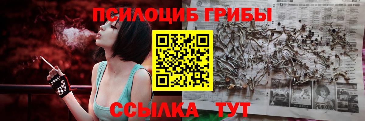 Галлюциногенные грибы прущие грибы Фрязино