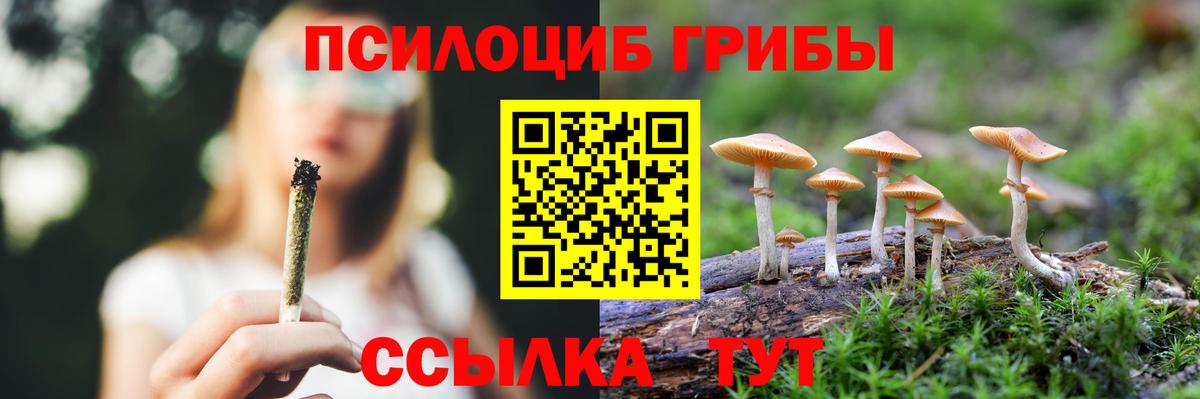 даркнет сайт  Вход с VPN  Фрязино  Псилоцибиновые грибы GOLDEN TEACHER 