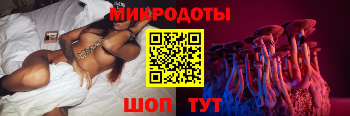 купить наркотики сайты  Фрязино  Галлюциногенные грибы MAGIC MUSHROOMS 